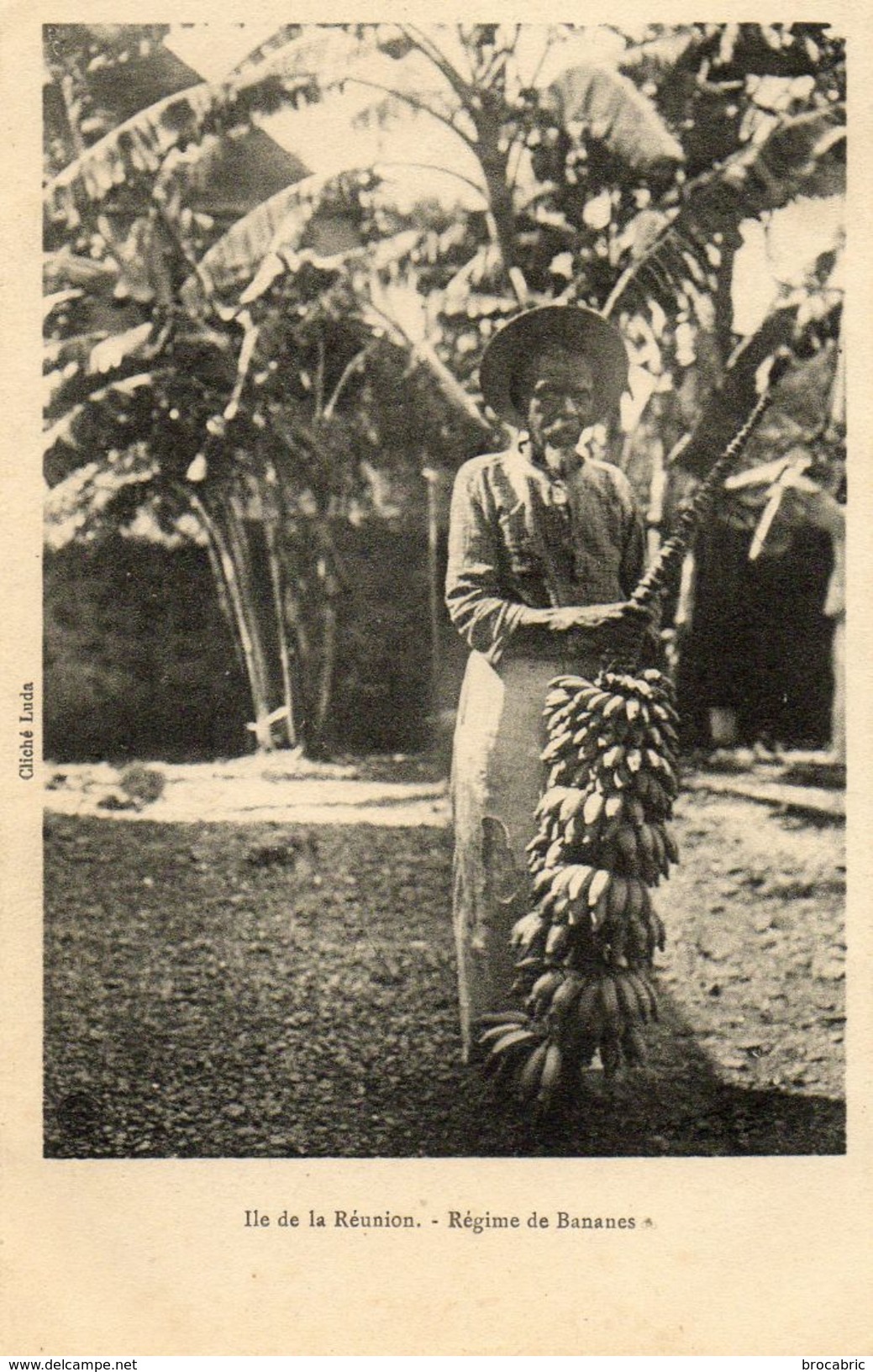 Ile De La Reunion  Regimes De Bananes - Reunion