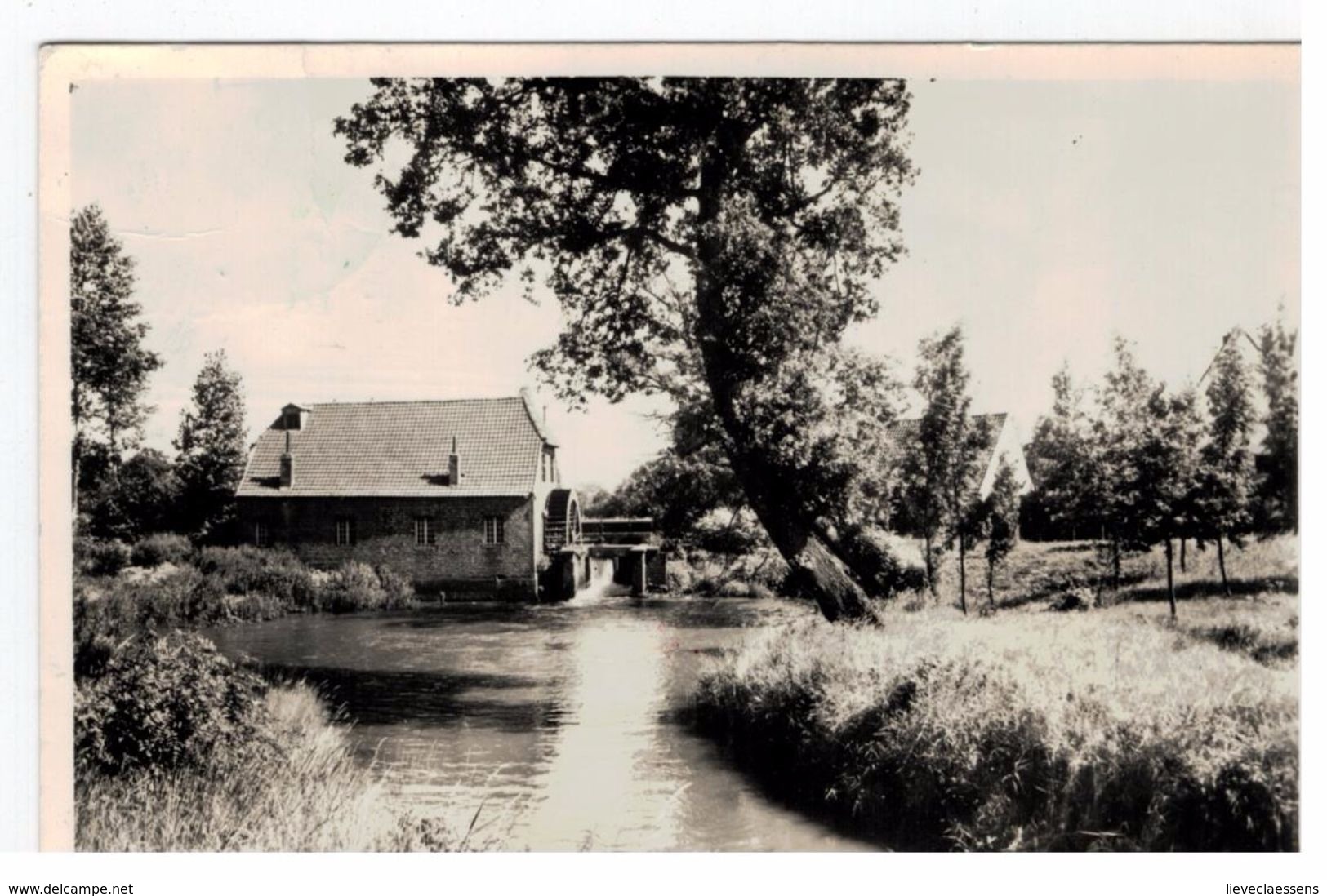 Balen : Hoolst Molen - Balen