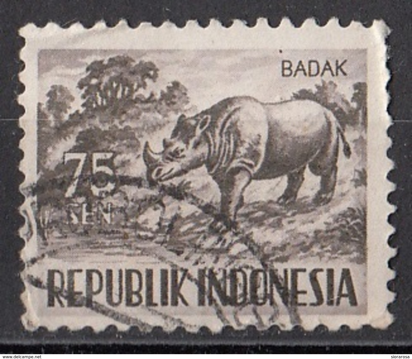 431 Indonesia 1956 Rhino Rionceronte Asiatico Used - Rhinozerosse