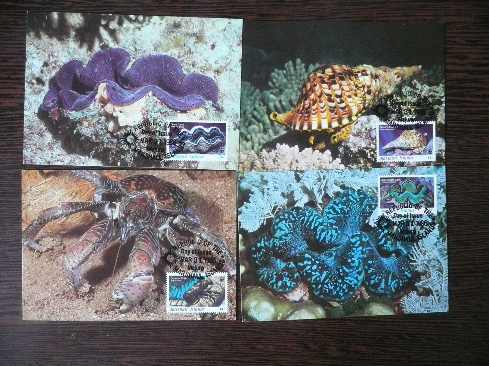 WWF Marshall Islands Coral Sea Life Wirbellose Des Pazifiks 1986 44 CM MC MK  Maximum Maxi Carte Card  Maximumkarte - Maximumkarten