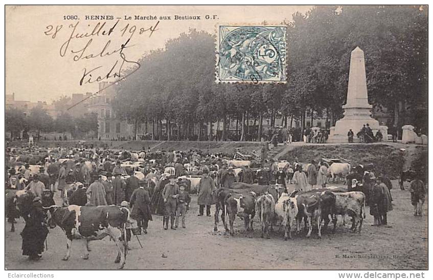 Rennes     35        Champ  De  Mars . Marché Aux Bestiaux       (1080 Voir Scan) - Rennes