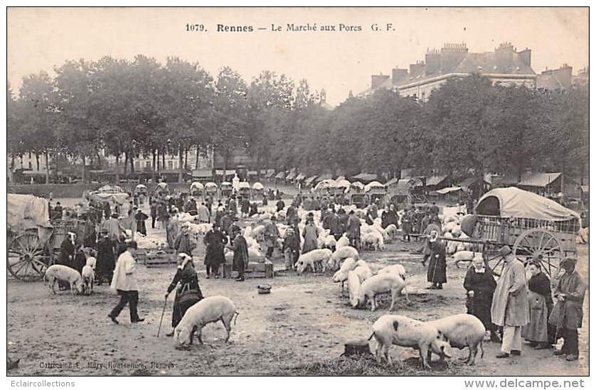 Rennes     35        Champ  De  Mars . Marché Aux Porcs       (1079 Voir Scan) - Rennes