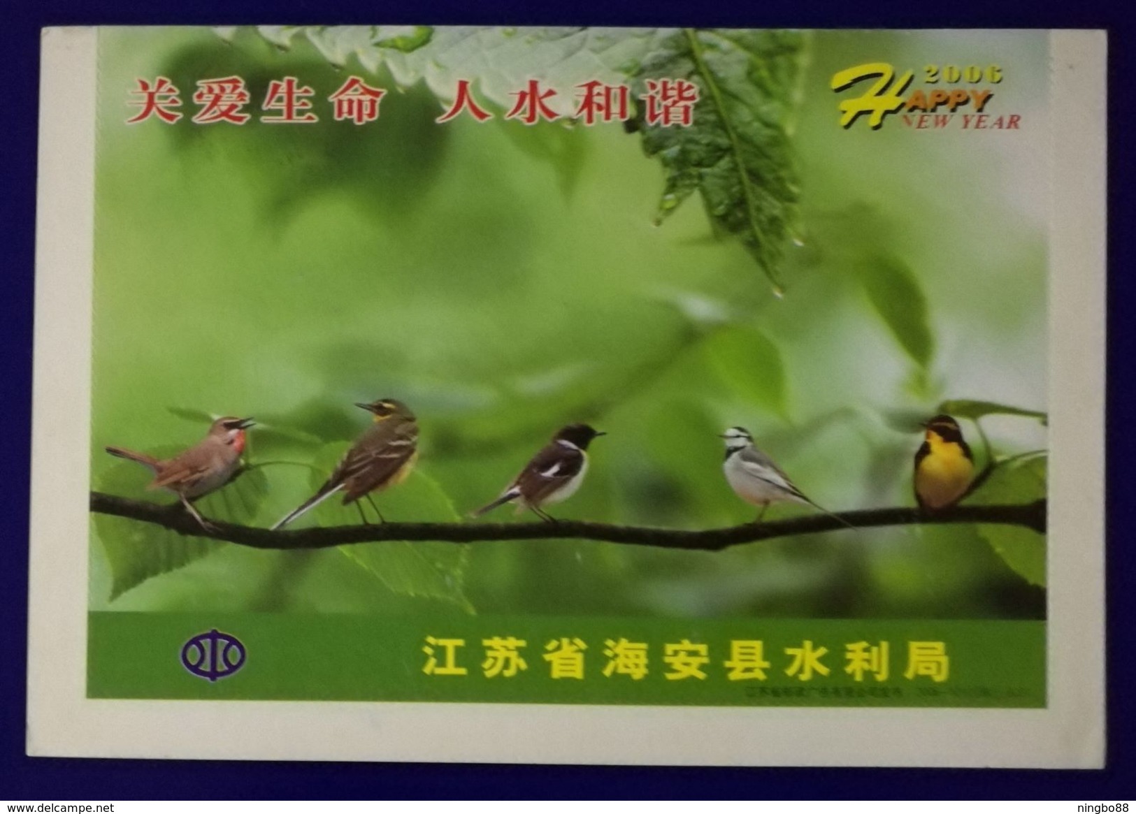 Passerine Birds,China 2006 Hai'an Water Resources Bureau Care Life For Harmonious Human & Water Advertising PSL - Spatzen