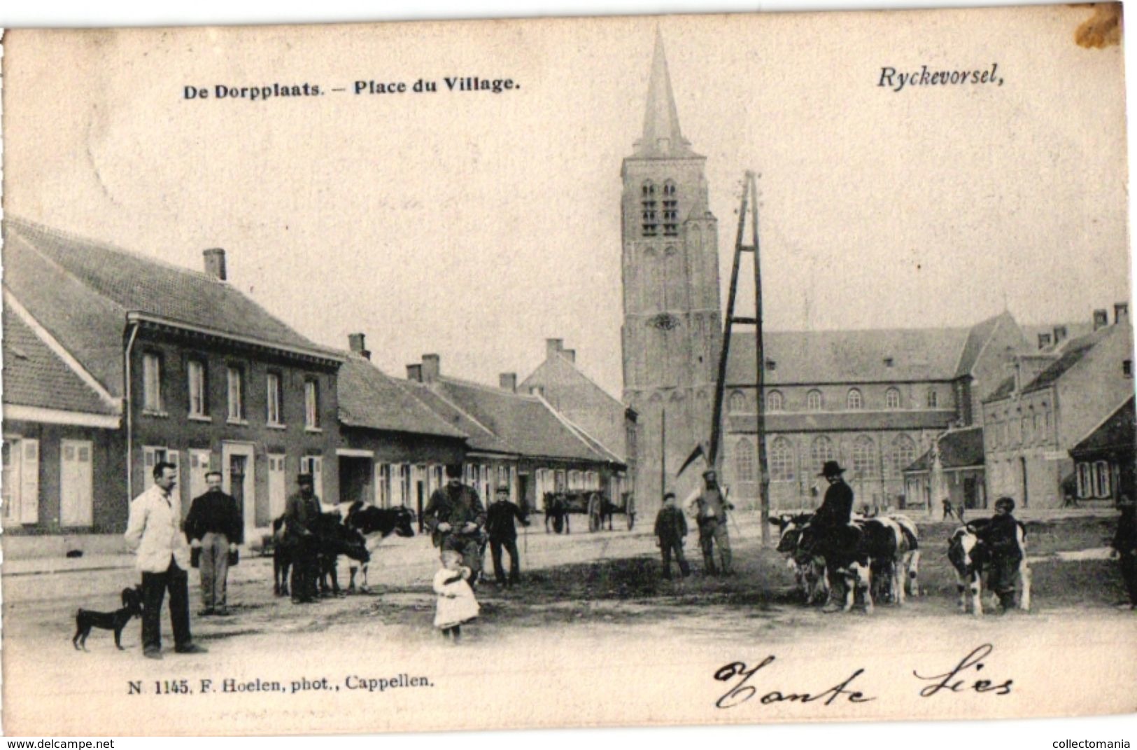 1 PC Rijkevorsel Ryckevorsel  Dorpplaats  Place Du Village Veemarkt   Uitg. Hoelen N°1145  Anno 1905 - Rijkevorsel