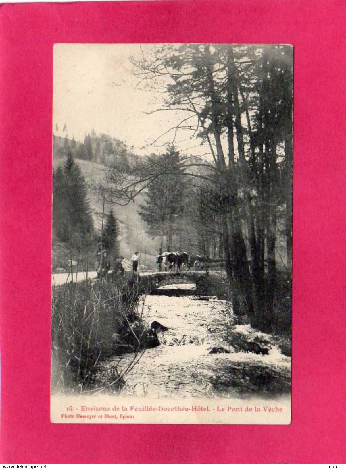 88 VOSGES, Environs De La Feuillée-Dorothée-Hôtel, Le Pont De La Vèche, Animée, 1908, (Hemeyer, Ehret) - Altri & Non Classificati