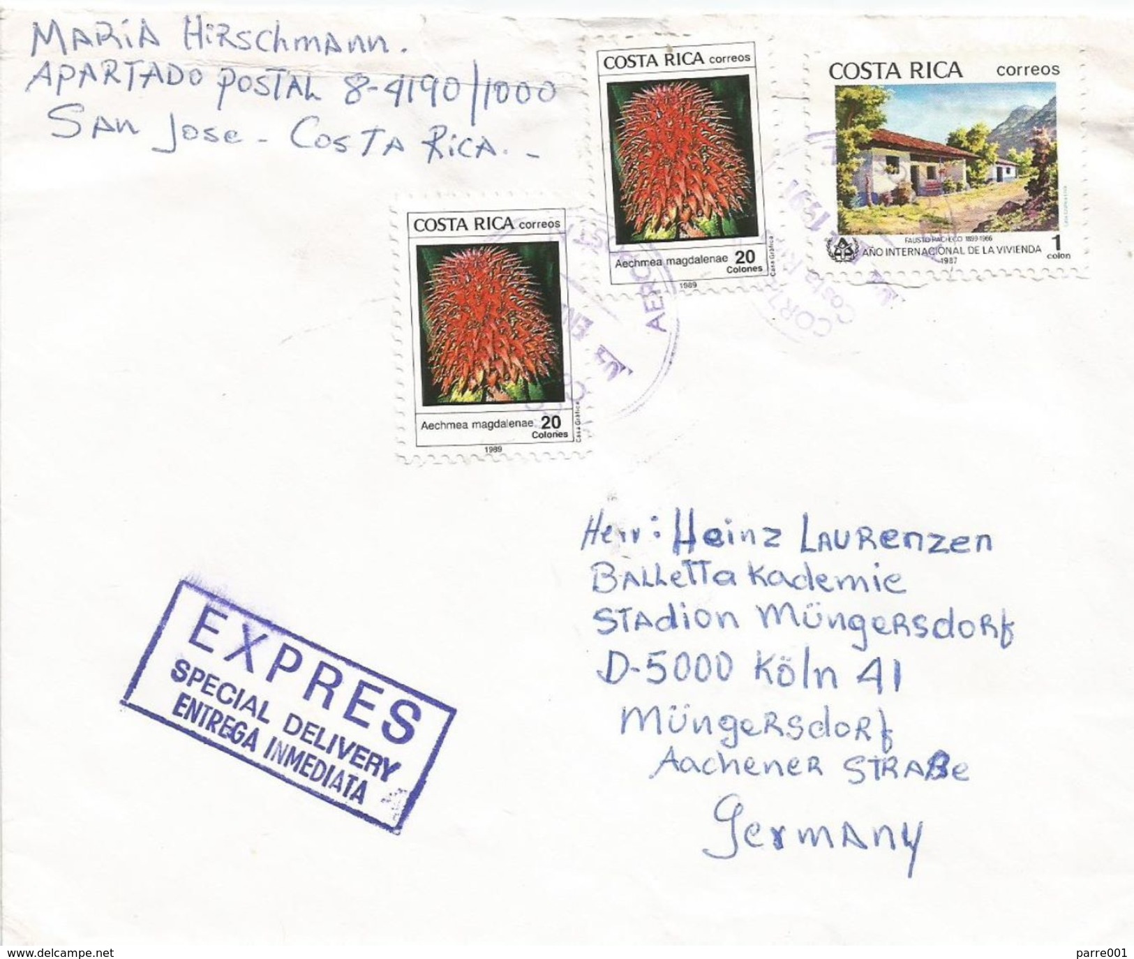 Costa Rica 1991 San Jose Habitat Year Terrestrial Bromeliad Aechmea Magdalenae Express Cover - Costa Rica