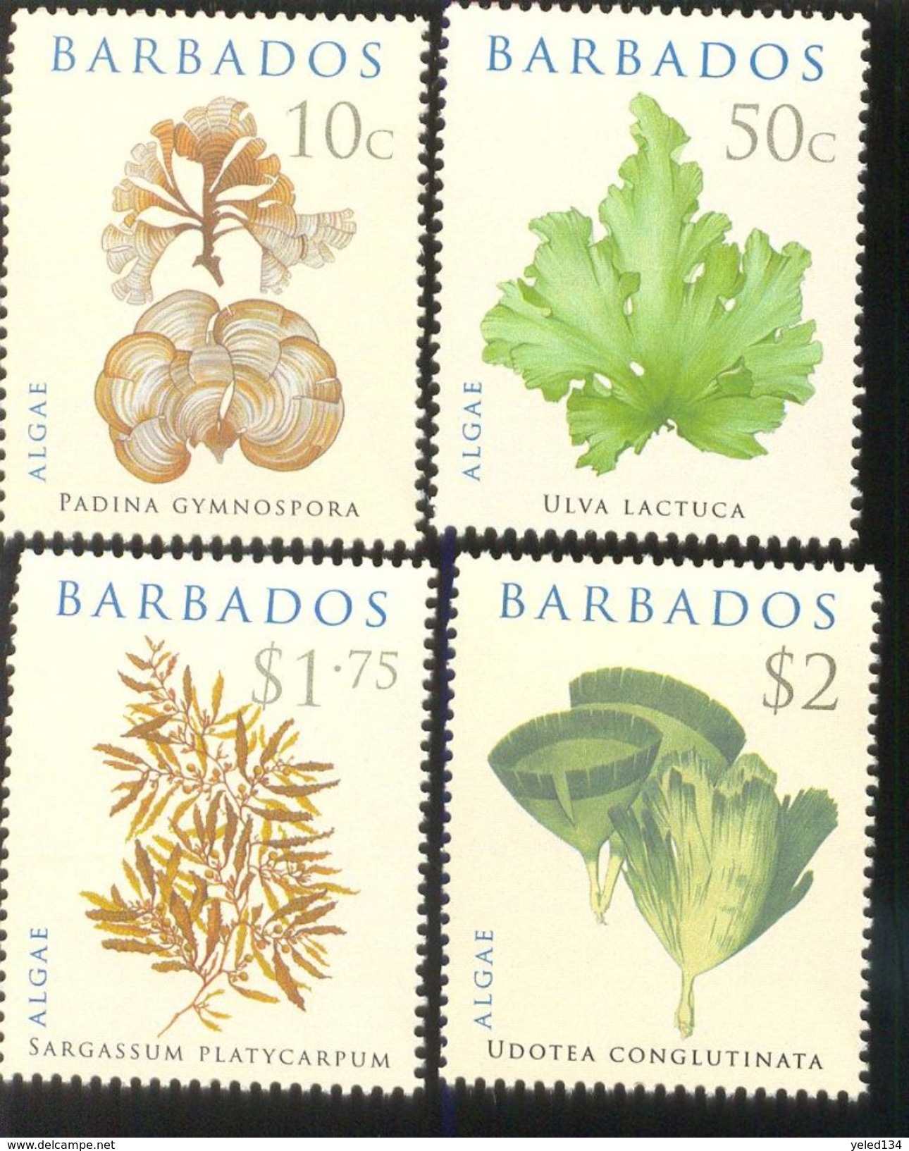 BARBADOS  1335-8  MINT NH STAMPS OF ALGAE , FLOVERS - Barbades (1966-...)