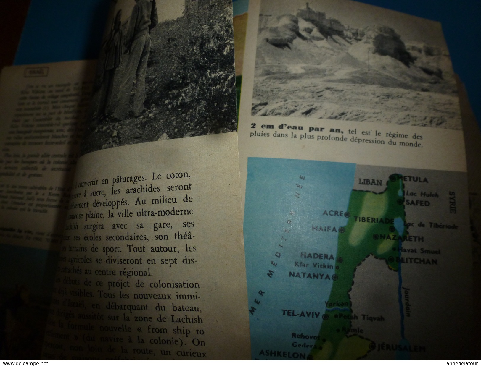 1955 SCIENCE Et VIE  --> Le Bilan D' ISRAEL ; Comment Ne Pas Vieillir ;L'extraordinaire ESCARGOT; Etc - Wissenschaft