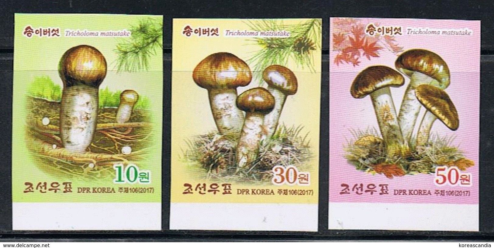 NORTH KOREA 2017 PINE MUSHROOMS STAMP SET IMPERFORATED - Paddestoelen