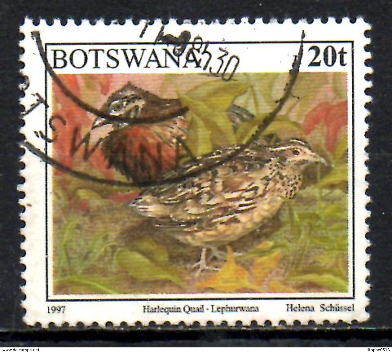 BOTSWANA. N°779 De 1997 Oblitéré. Caille. - Perdiz Pardilla & Colín