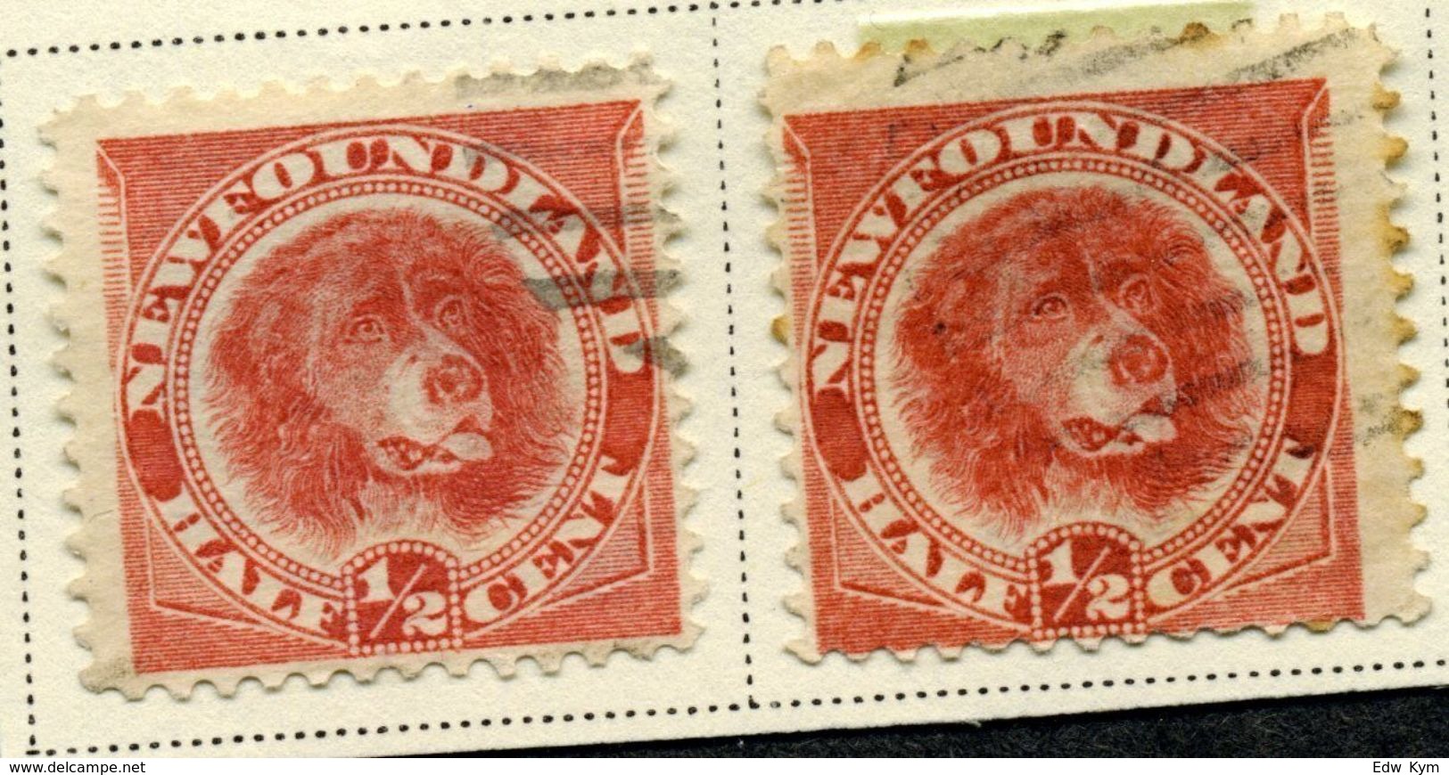 1887 Canada Newfoundland (Set Of Two) SC #56 Rose Red"Newfoundland Dog"USED VF - Gebruikt