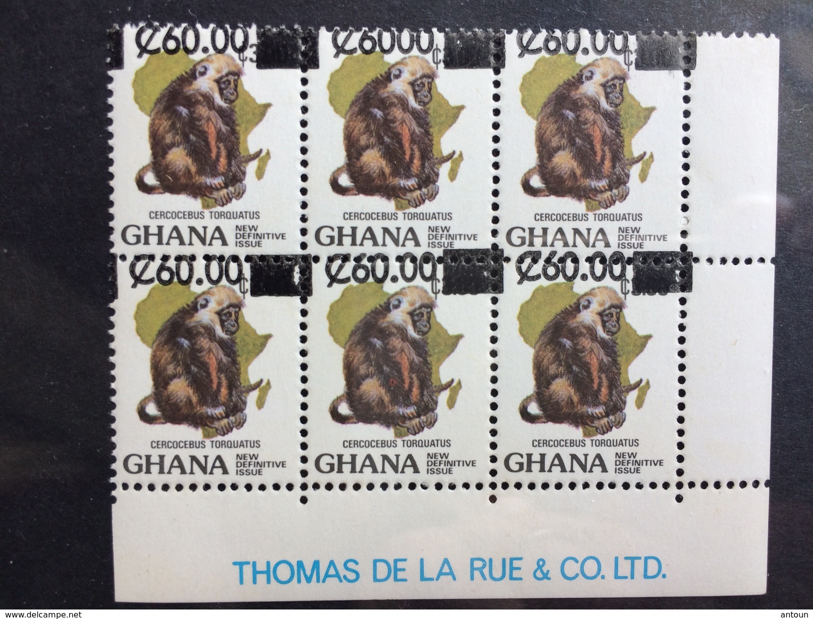 Ghana  1988  Def Sur.- Block Of 6 - Decimal Point Omitted - Becomes C 6000 Instead Of C 60.00  Postage Fee To Be Added - Ghana (1957-...)