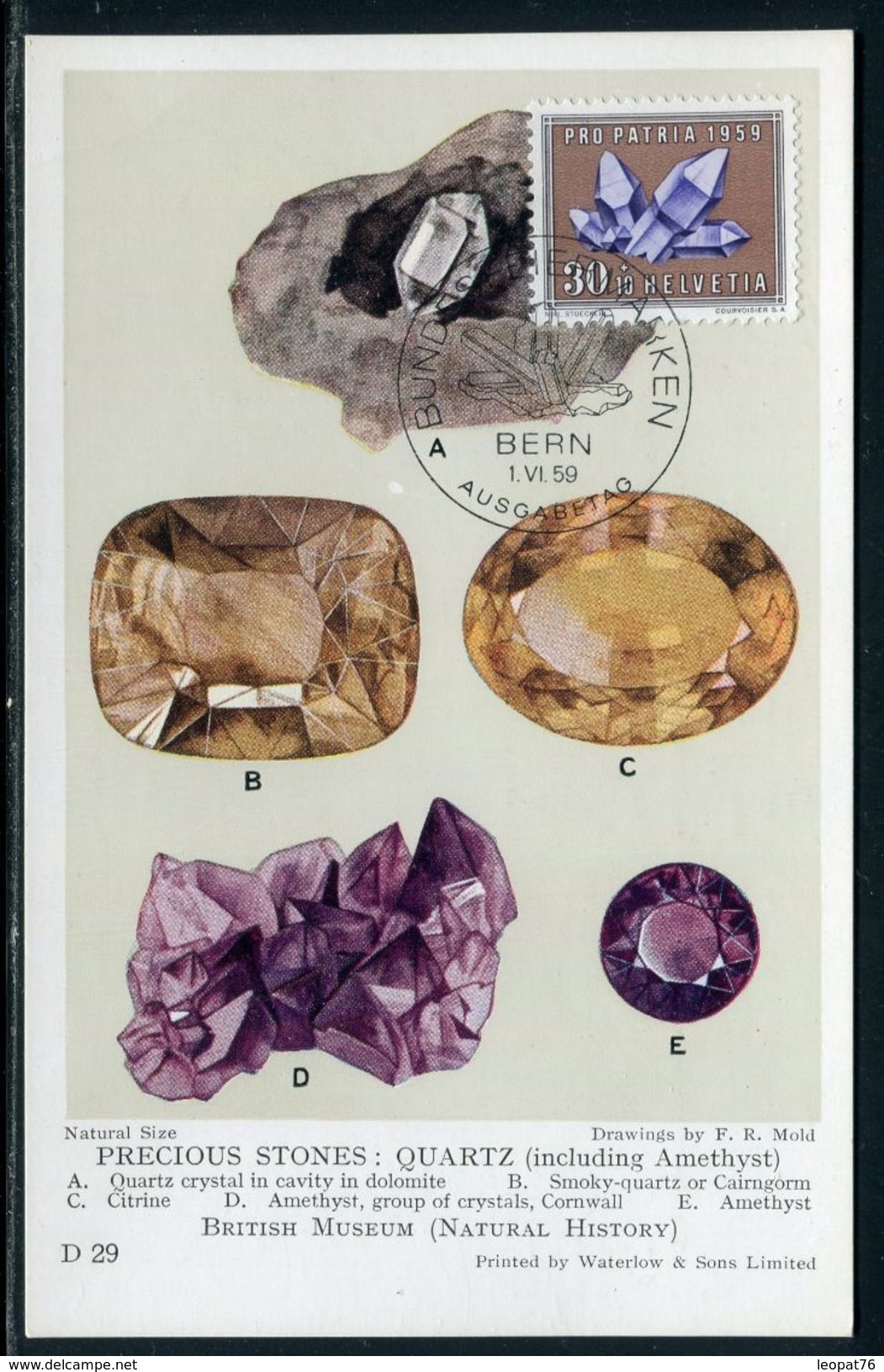 Suisse - Carte Maximum 1959 - Géologie - Cartoline Maximum
