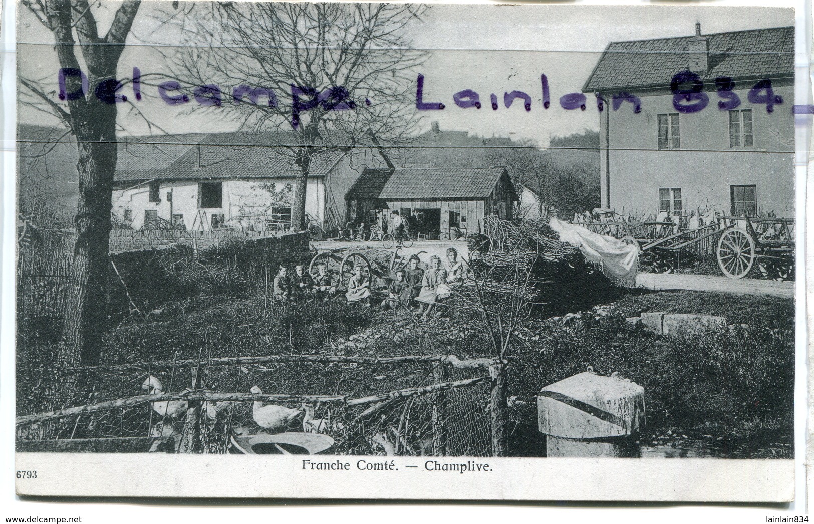 - 6793 - Franche Comté - Champlive - ( Doubs ), Enfants, Canards, épaisse, édition O. Janier, Non écrite, TBE Scans. - Other & Unclassified