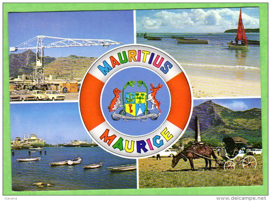 ILE MAURICE - Port-Louis Harbour - Champ De Mars - Mauritius