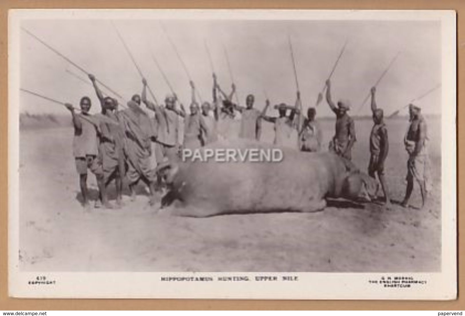 Sudan   Hippopotamus Hunting  Upper Nile    RP    Su532 - Soudan