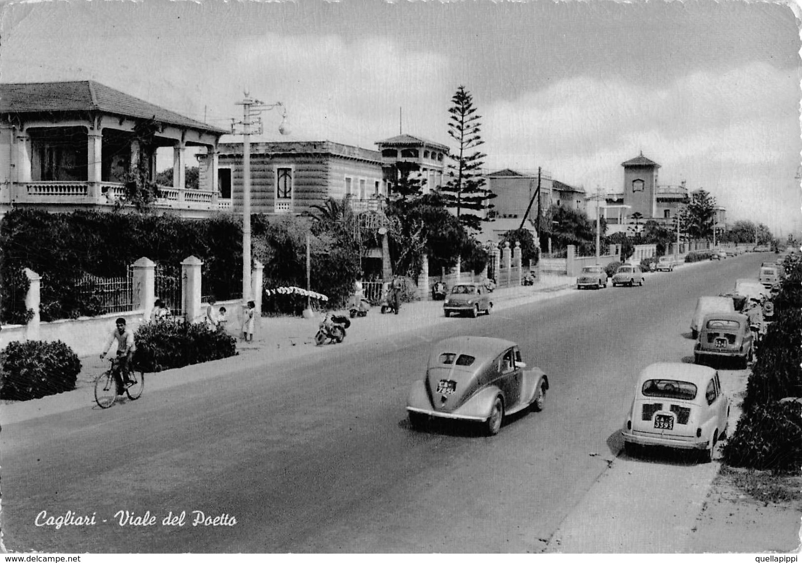 D6233 "CAGLIARI- VIALE DEL POETTO" AUTO ANNI 50. VOLKSWAGEN, ANIMATA. CART. SPED - Cagliari