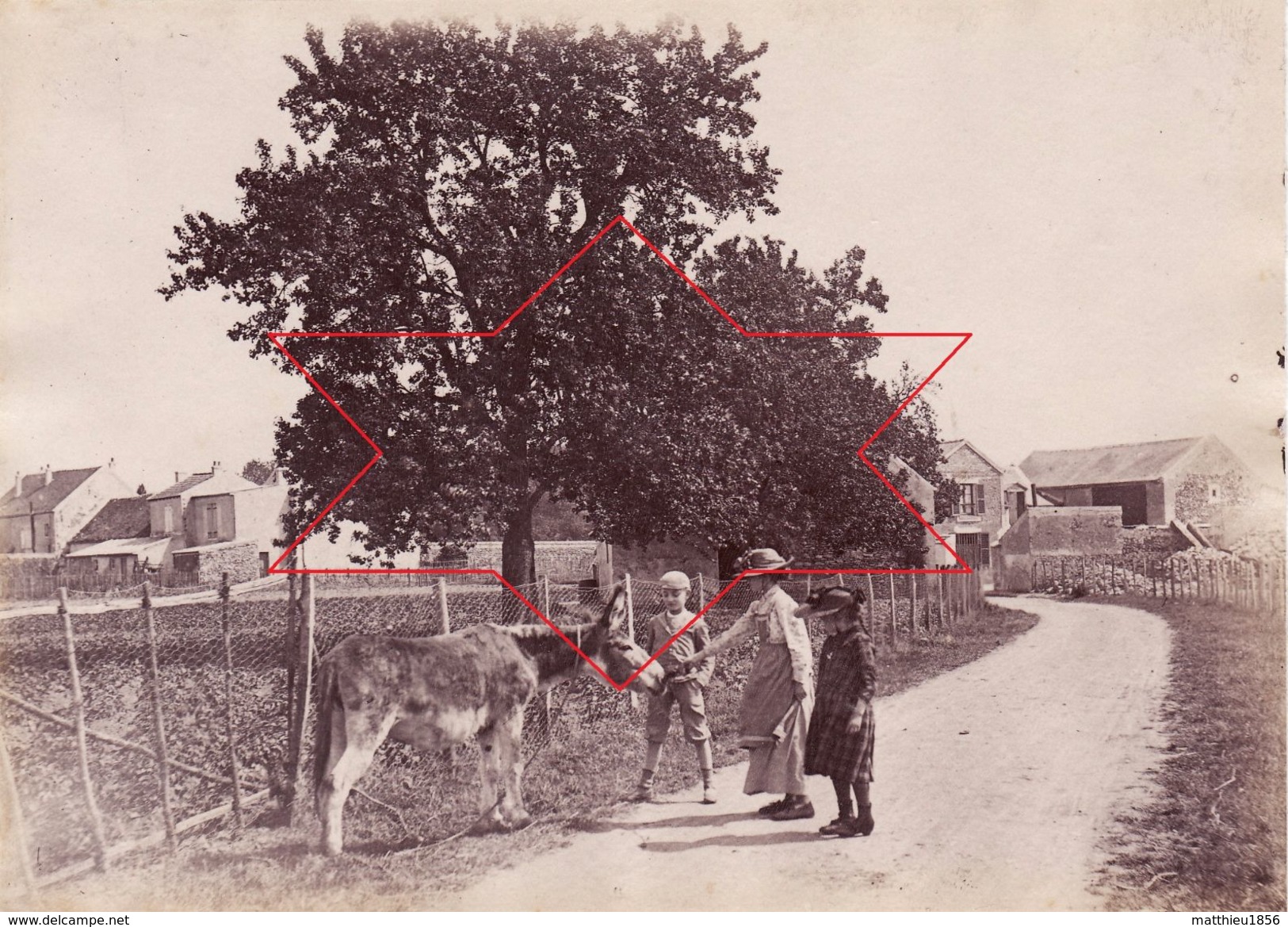 Photo 1893 LE CHESNAY - Enfants Avec Un âne Sur Un Chemin (A177) - Le Chesnay