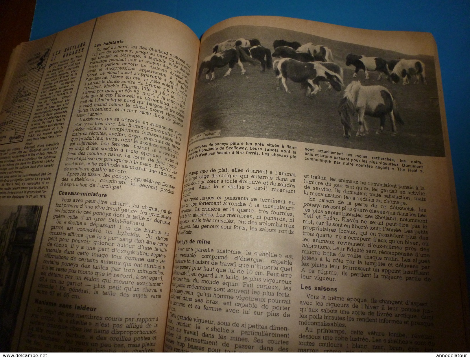 1953 SCIENCE Et VIE  N° 426--> Les Poneys De Shetland; Entreprise Pilote :l'usine Marémotrice De La Rance;etc - Ciencia