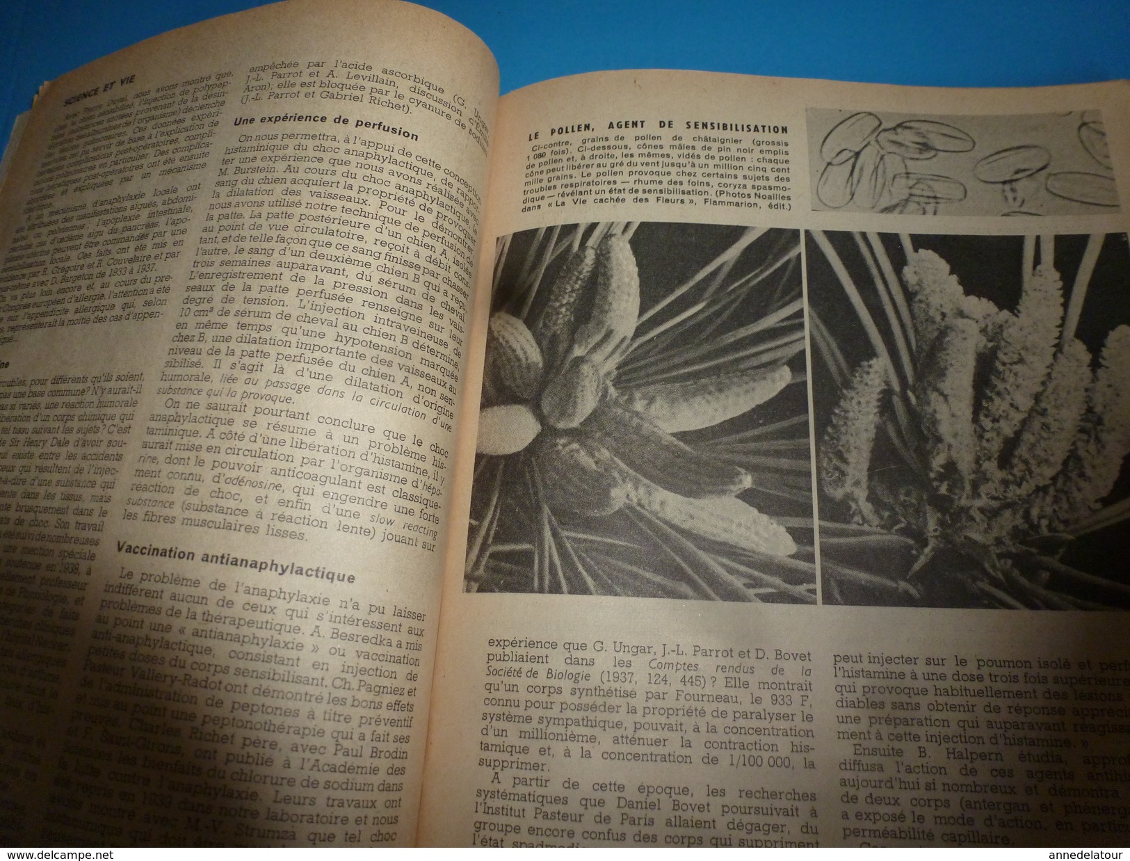 1951 SCIENCE Et VIE  N° 408-->Les PEYOLT Plante De Légende; La Coque Plate Est Plus Rapide;Le Caoutchouc Conducteur;etc - Ciencia