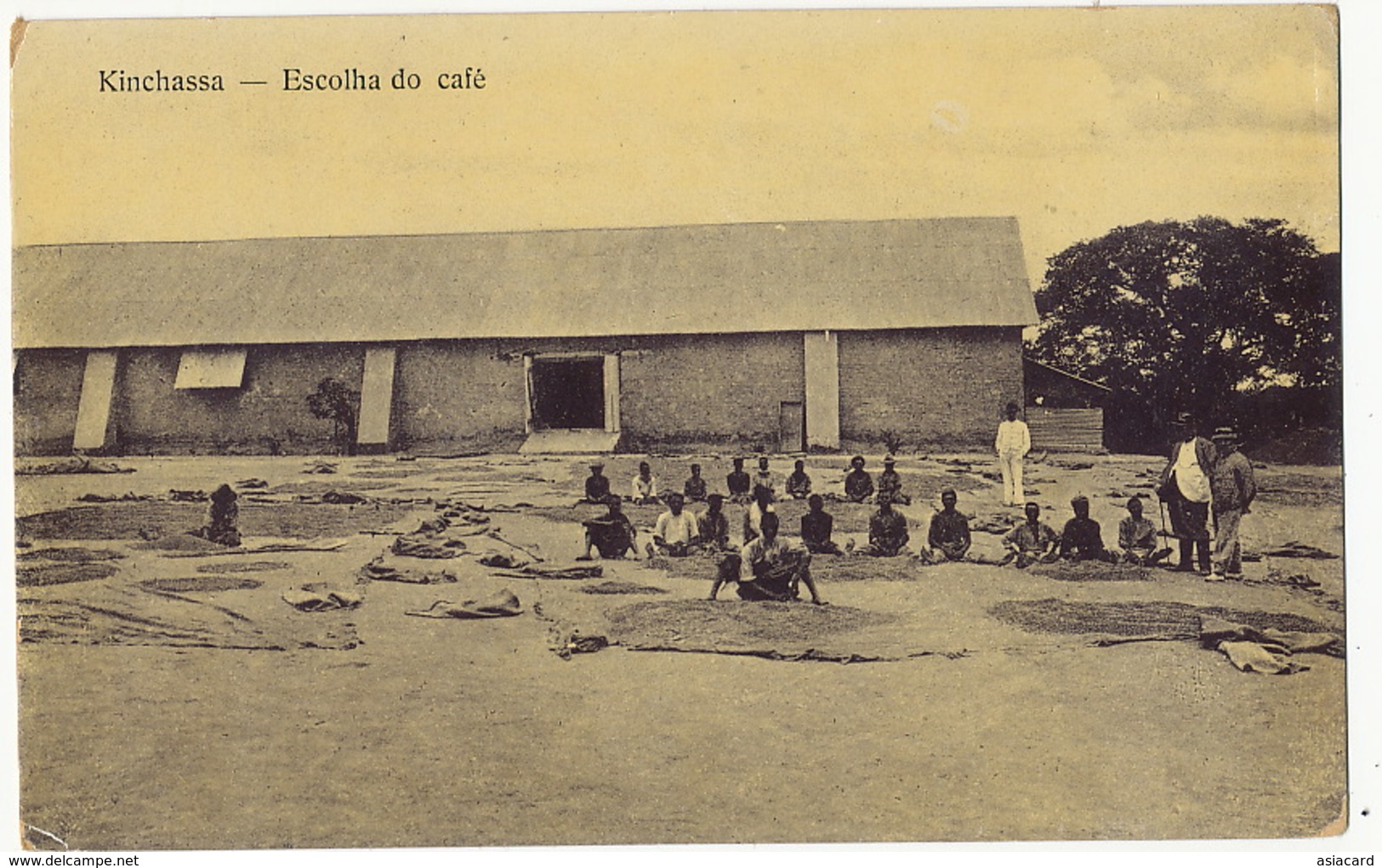 Kinchassa Escolha Do Café - Kinshasa - Leopoldville