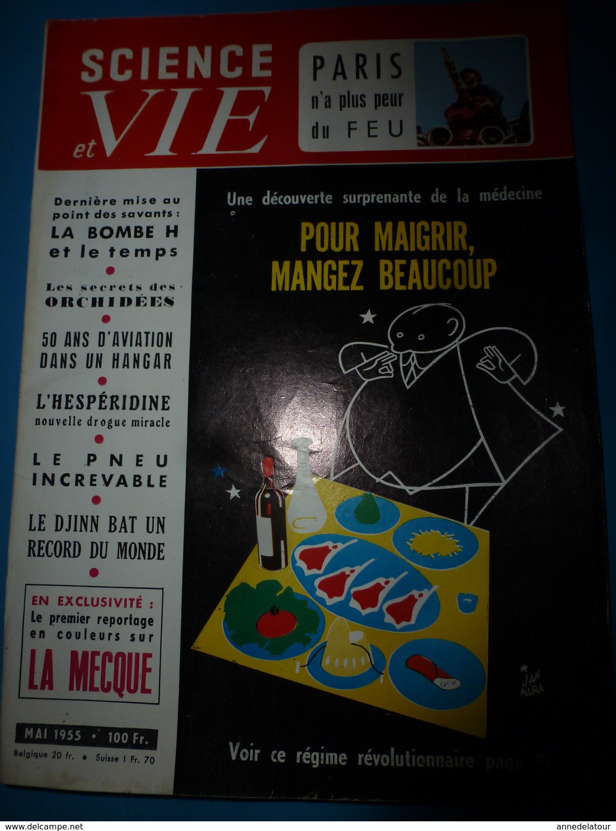 1955 SCIENCE Et VIE ---> POUR MAIGRIR MANGEZ BEAUCOUP; La Mecque :le Plus Grand Pelerinage Du Monde; Etc - Science