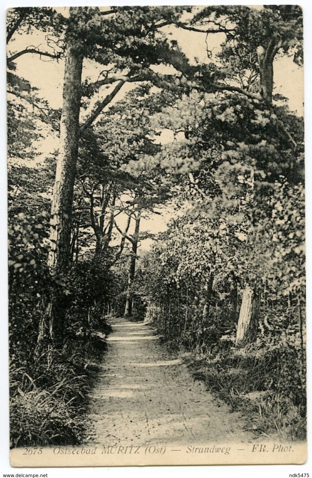 ALLEMAGNE : OSTSEEBAD / MURITZ - STRANDWEG - Waren (Mueritz)