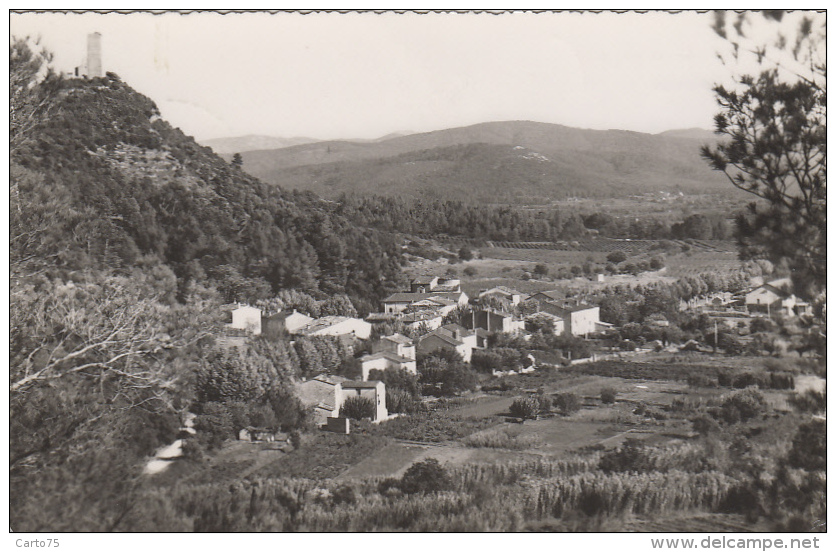 Taradeau 83 - Vue Générale - Oblitération Taradeau 1961 - Other & Unclassified