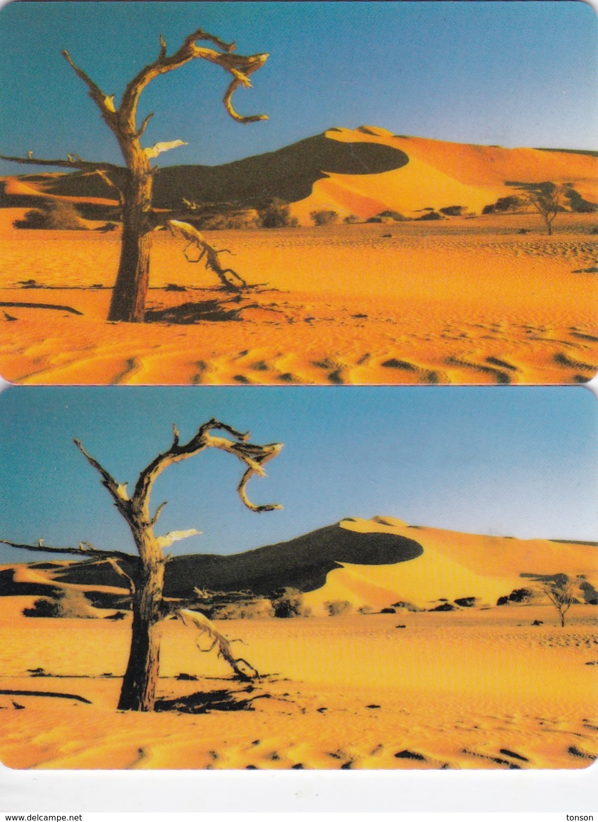 Namibia, NMB-017 And 017a,  Tree In The Desert, 2 Cards, 2 Scans. (SIE 30 And 31) - Namibia