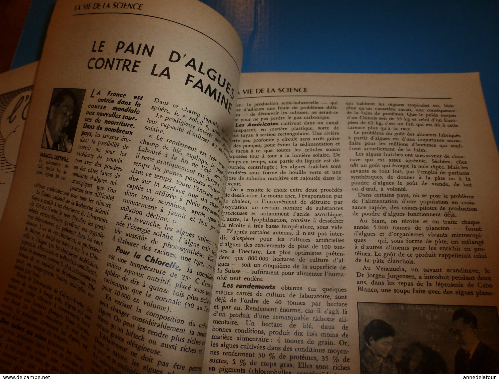 1955 SCIENCE Et VIE  --->PARENTIS La Grande Aventure Du Pétrole Français; Des Lunettes Pour Sourds; Au Pole-Sud;etc - Scienze