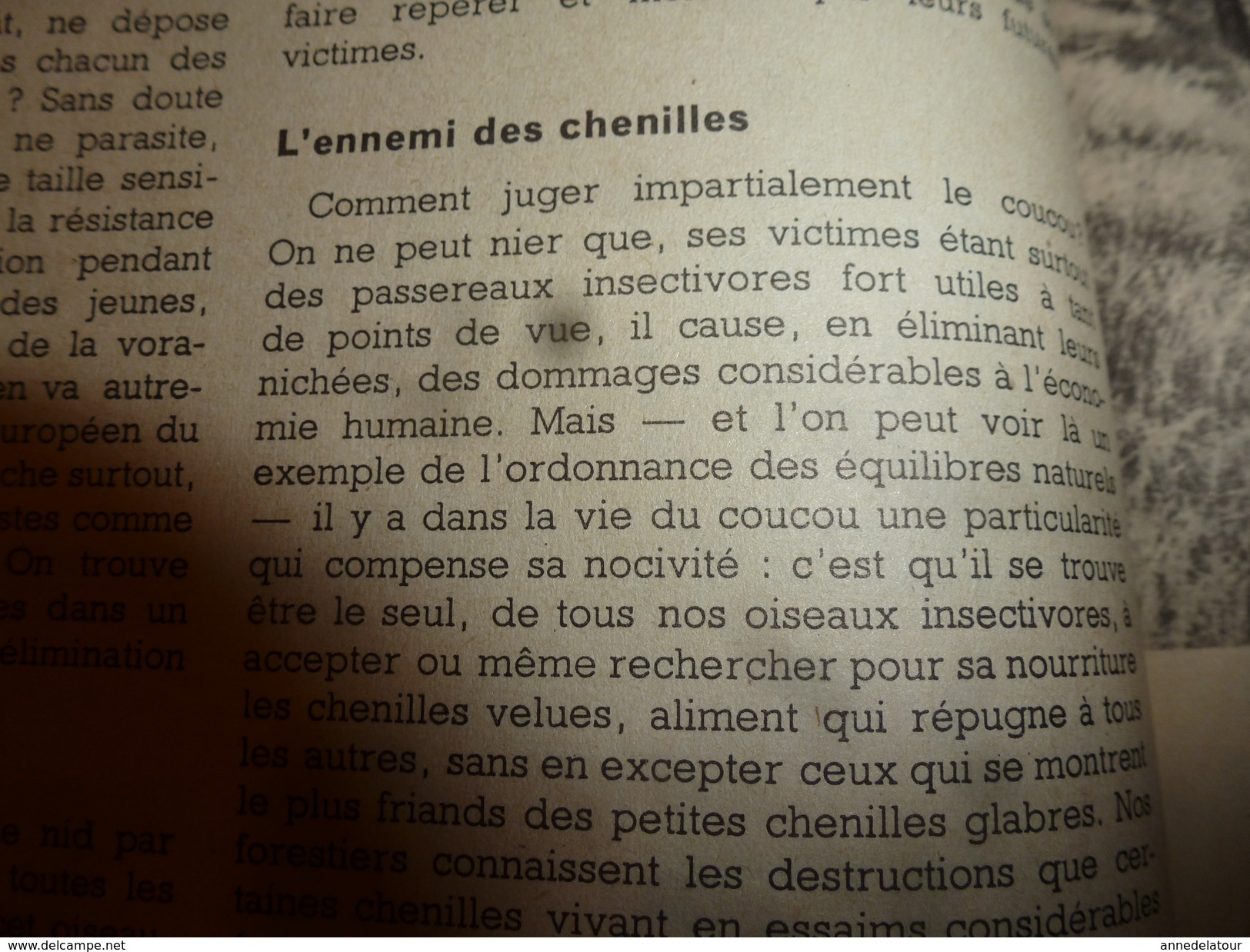 1953 SCIENCE Et VIE  N° 427--->Le Canal De Saint-Laurent; Les Curieuses Moeurs Du COUCOU Parasite Mais Utile; Etc - Science