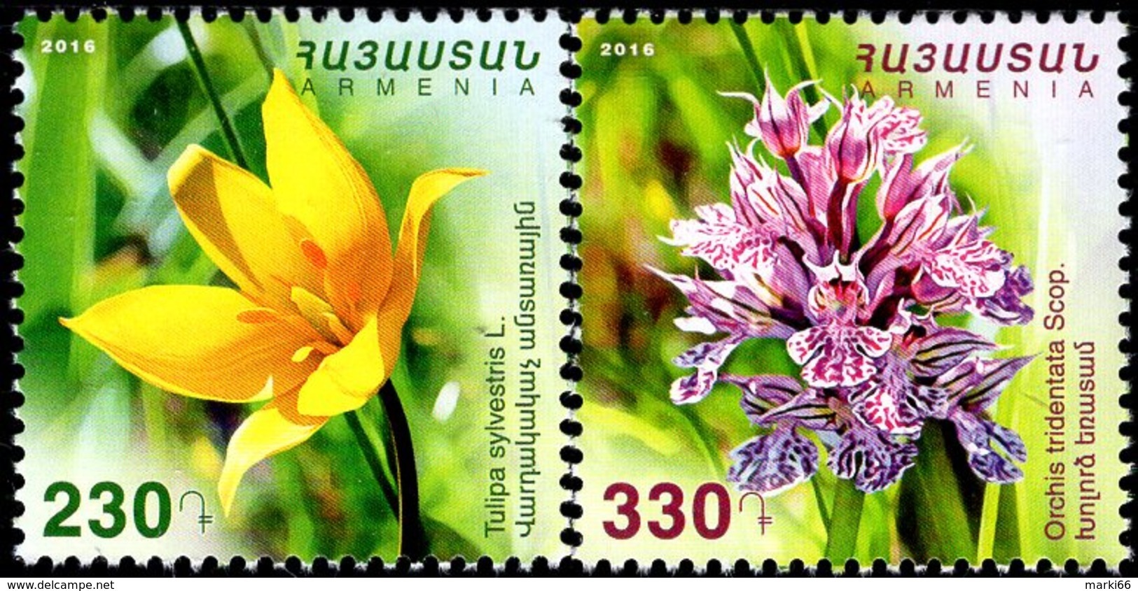 Armenia - 2016 - Flora - Tulip And Orchid - Mint Stamp Set - Armenia