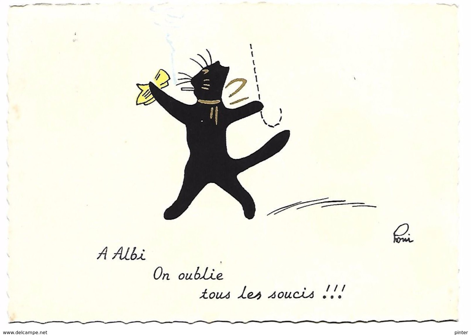 A ALBI On Oublie Tous Les Soucis - Chats - Albi