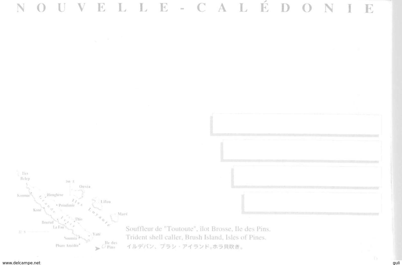 Nouvelle Calédonie Nouvelle -Calédonie Souffleur De Toutoute Ilôt Brosse Ile Des Pins (coquillage Shell)*PRIX FIXE - Nouvelle Calédonie