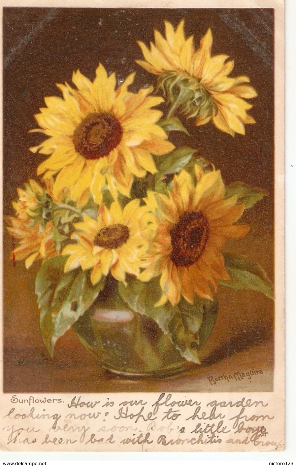 Bertha Maguire. Sun Flowers" Tuck Art FlowerStudies Series PC # 6712 - Tuck, Raphael