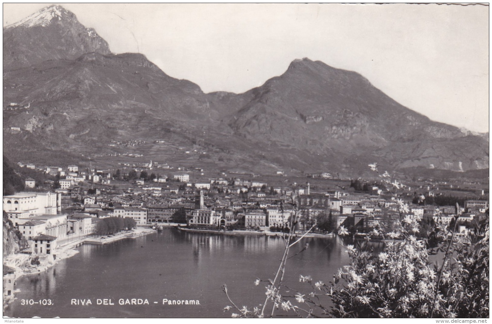 Riva Del Garda - Panorama (310-103) * 18. 4. 1955 - Trento