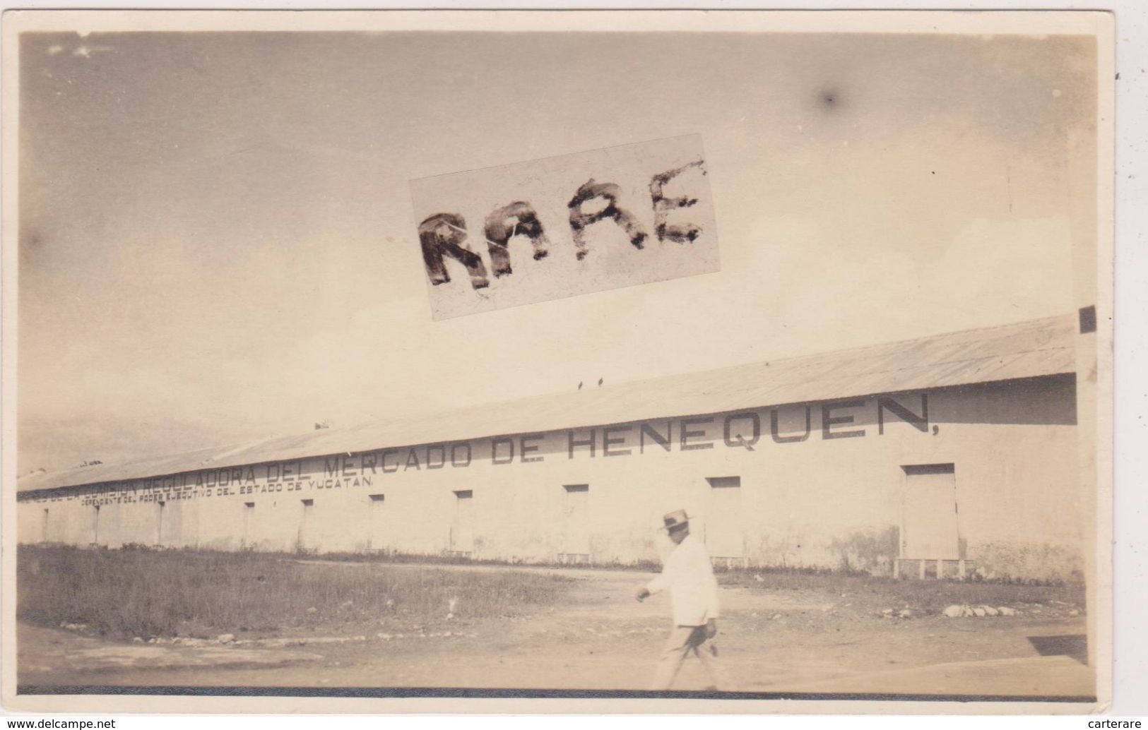 Carte Photo,mexique Yucatan,comision Reguladora Del Henequen,rare,amérique,1921 - Mexique