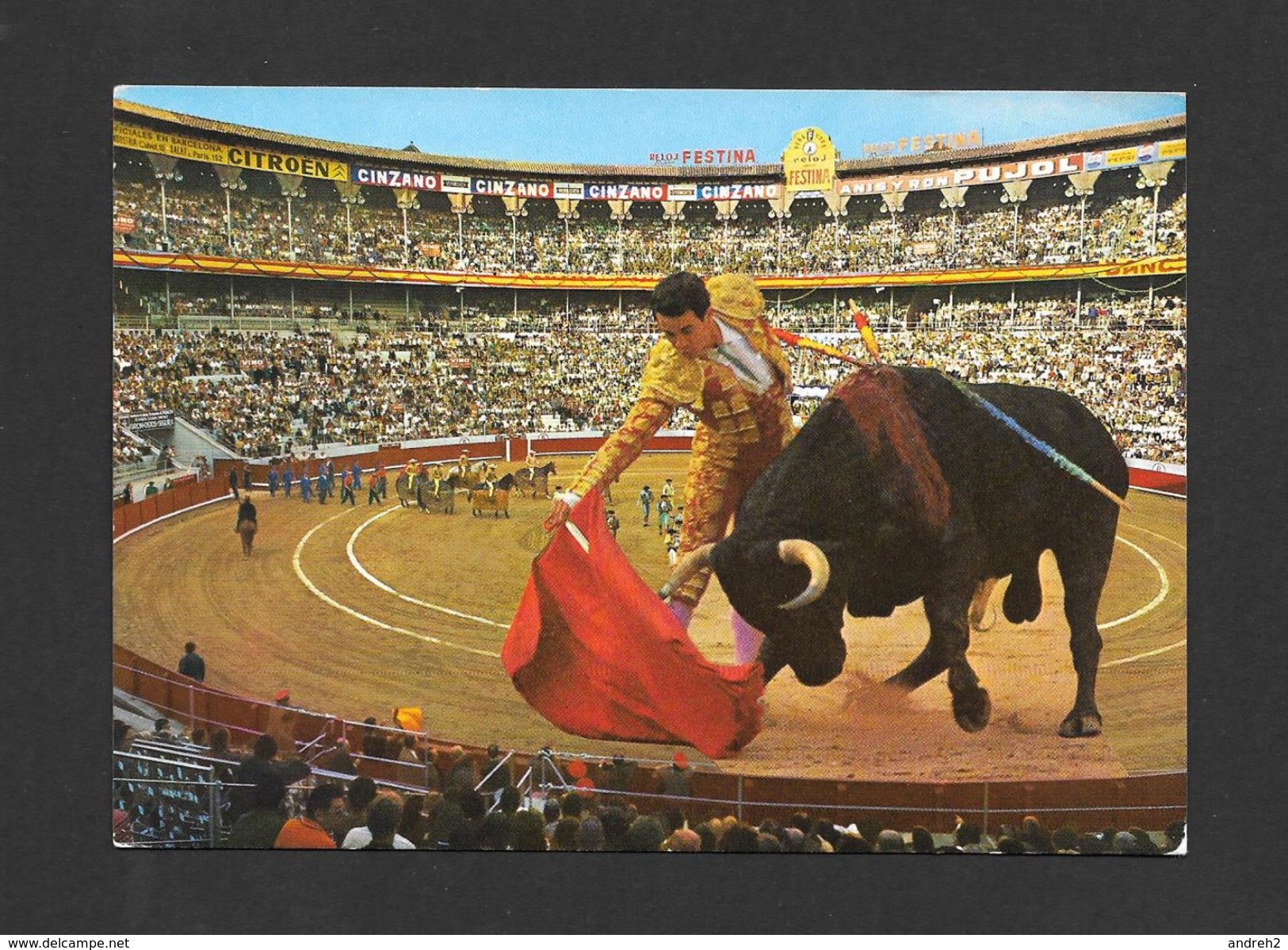 CORRIDA - TYPIQUE COURSE DE TAUREAUX - TOROS - BULLFIGHT - ANIMAUX - ANIMALS - Corrida