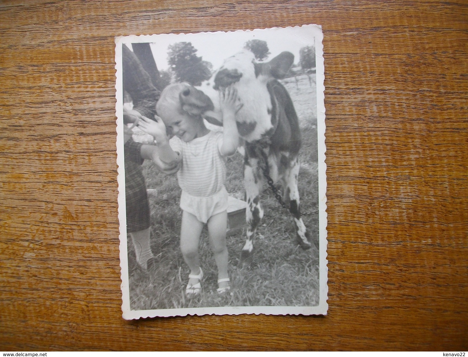 Ancienne Photo D'un Enfant Avec Un Veau  " Photo 12 X 9 Cm " - Persone Anonimi