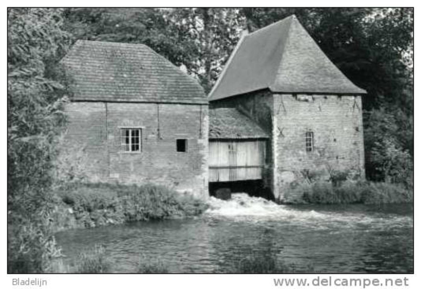 GROBBENDONK (Antw.) - Molen/moulin - De Watermolen Volop In Bedrijf D.d. 1989 (met De Oude Dakbekleding) - Grobbendonk