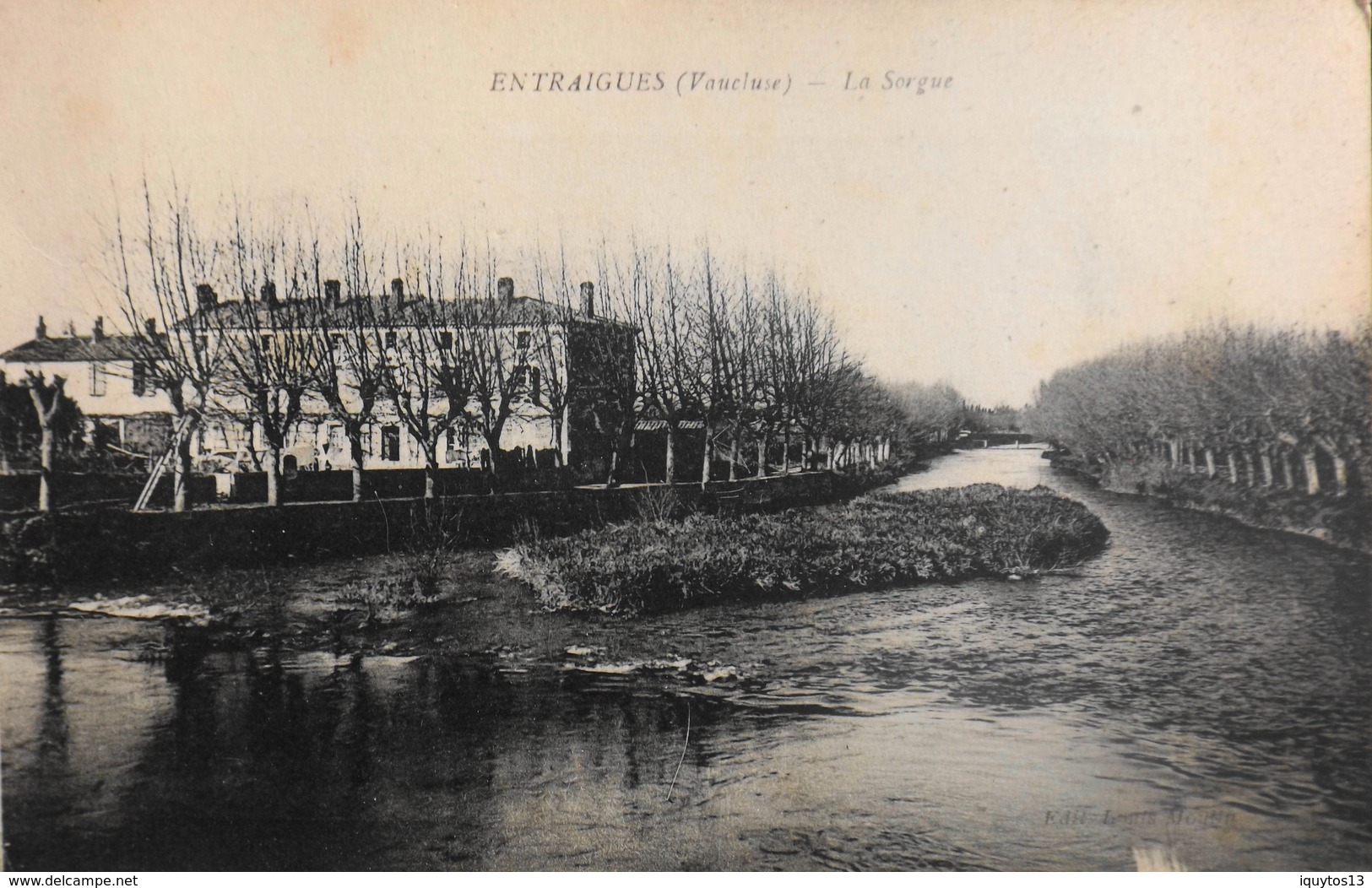 CPA. - FRANCE - Entraigues-sur-la-Sorgue Est Situé Dans Le Dép. De Vaucluse - La Sorgue - BE - Entraigue Sur Sorgue