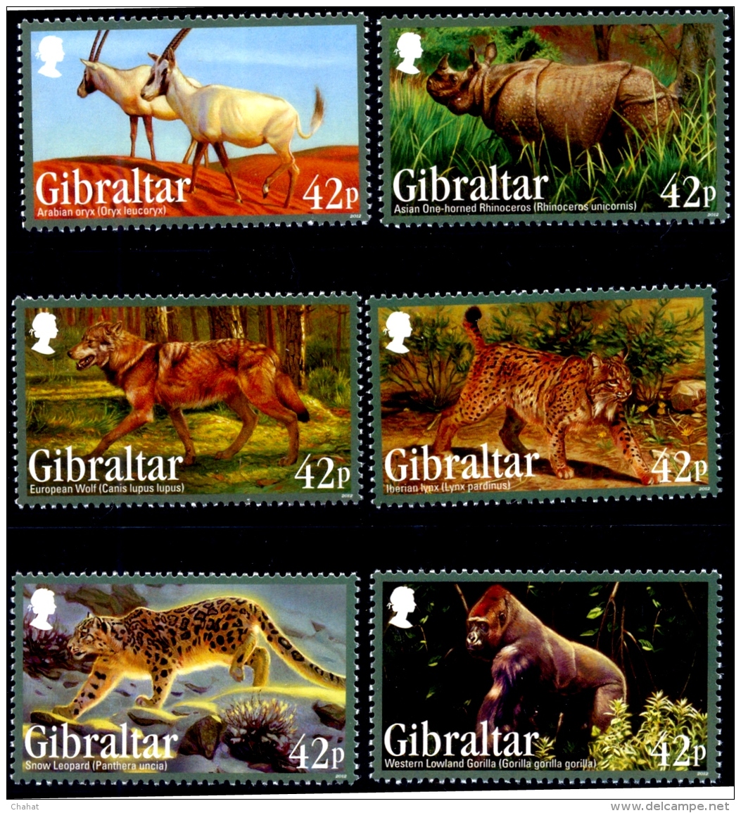 WILD LIFE-ENDANGERED ANIMALS-SET OF 6 WITH MS-GIBRALTAR-MNH-J-31 - Chimpanzés