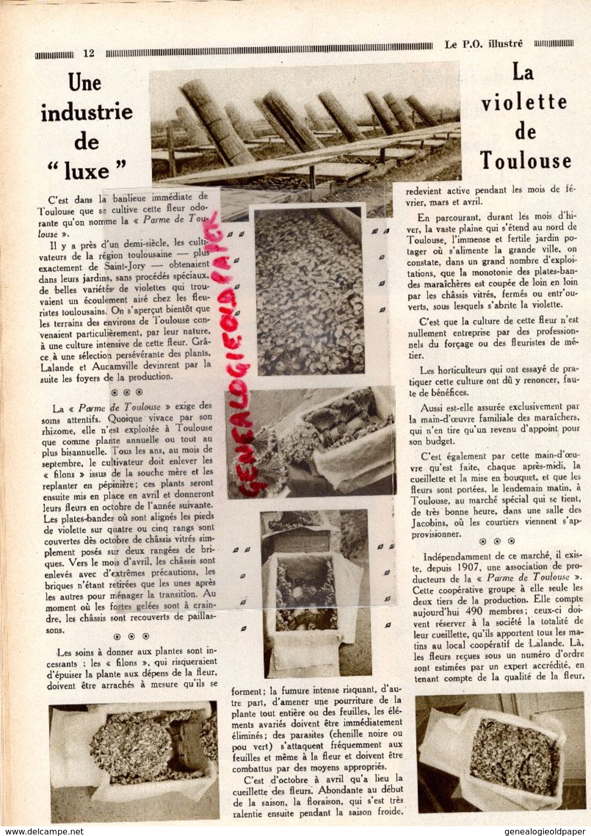 REVUE  P.O. ILLUSTRE-N° 21-ROCHE POSAY-1932-BORDEAUX-PAUILLAC-GENTILLY SCEAUX-VIOLETTE TOULOUSE-NANTES-CAPDENAC LE HAUT