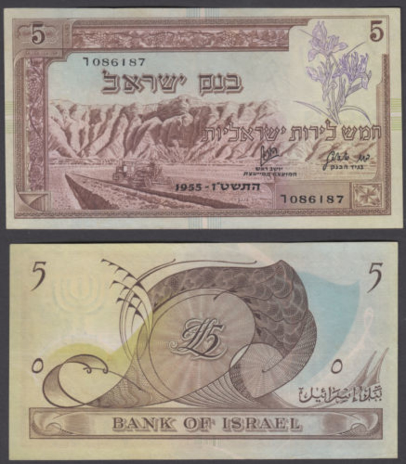 Israel 5 Lirot 1955 (VF+) Condition Banknote Black Serial P-26 - Israel