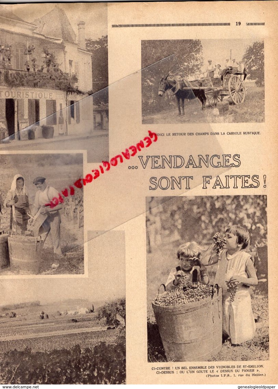 REVUE P.O. ILLUSTRE-N° 30-1933-ARMISTICE-CROZATIER-GALERIE OUDON-VENDANGES-ORLEANS ELEVAGE DINDON-QUIBERON-TULLE RODEZ