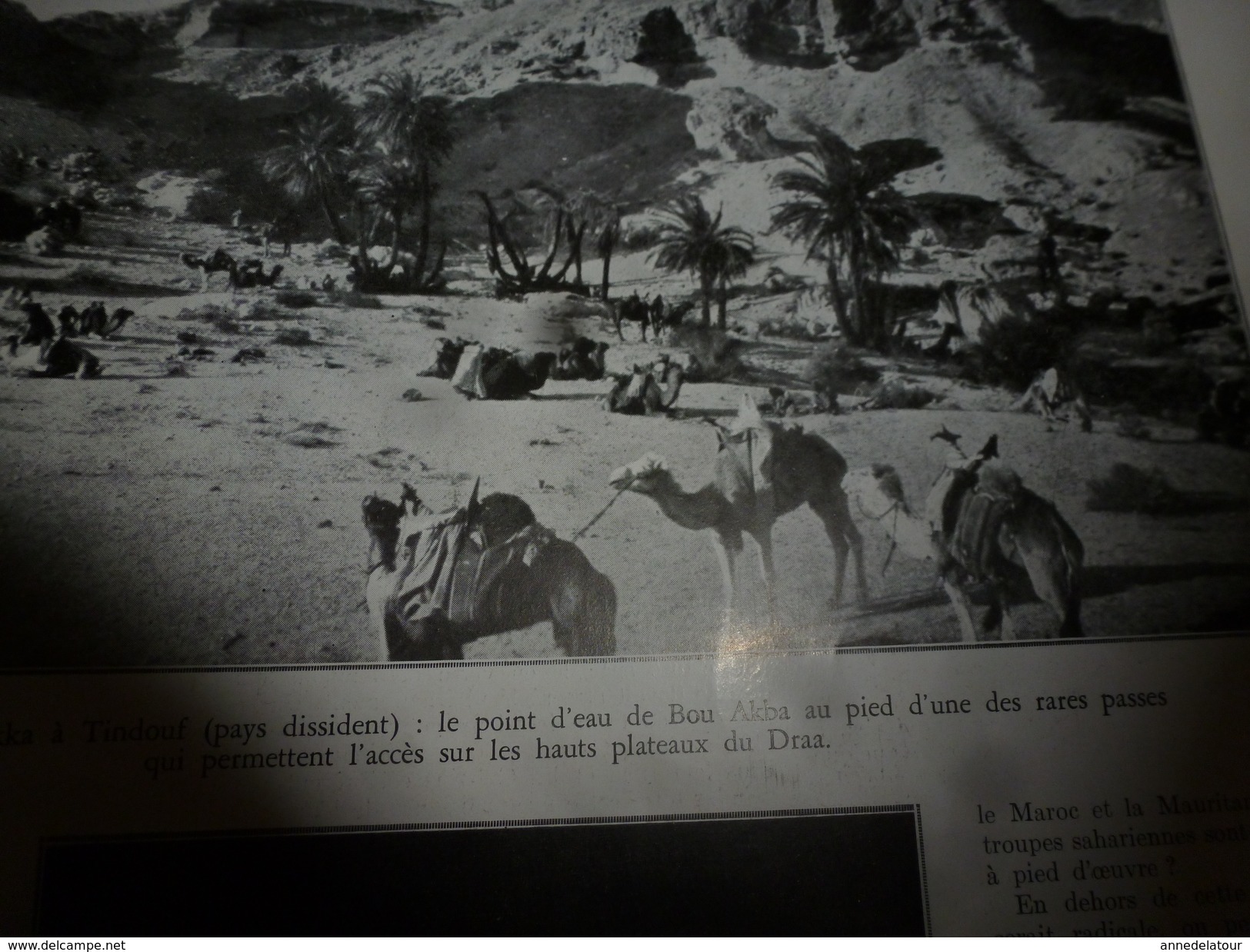 1933 L'ILLUSTRATION:Reichswehr au Lustgatten; Atar,Tindouf,Akka,Bou Akba,Nomades de Chinguetti;Gros-Bois-en-Montagne;etc