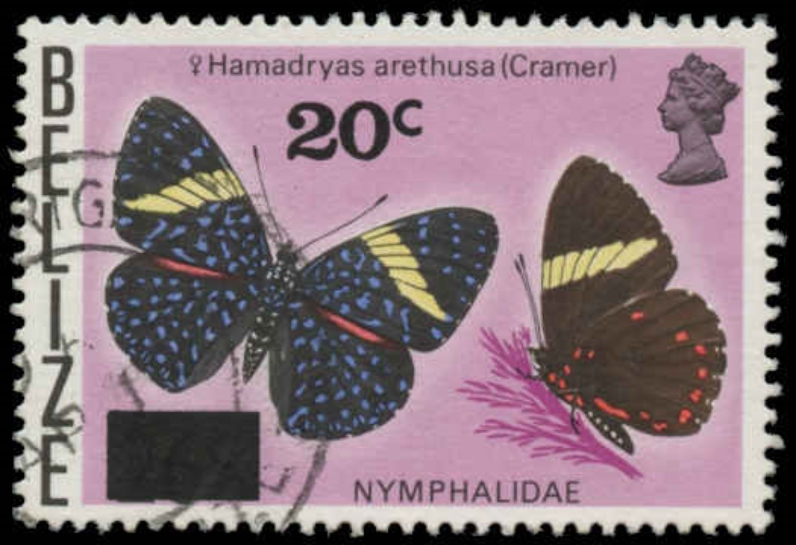 Belize Scott # 380, 20¢ Multicolored (1976) Butterflies (Hamadyas Arethusa), Used - Belize (1973-...)