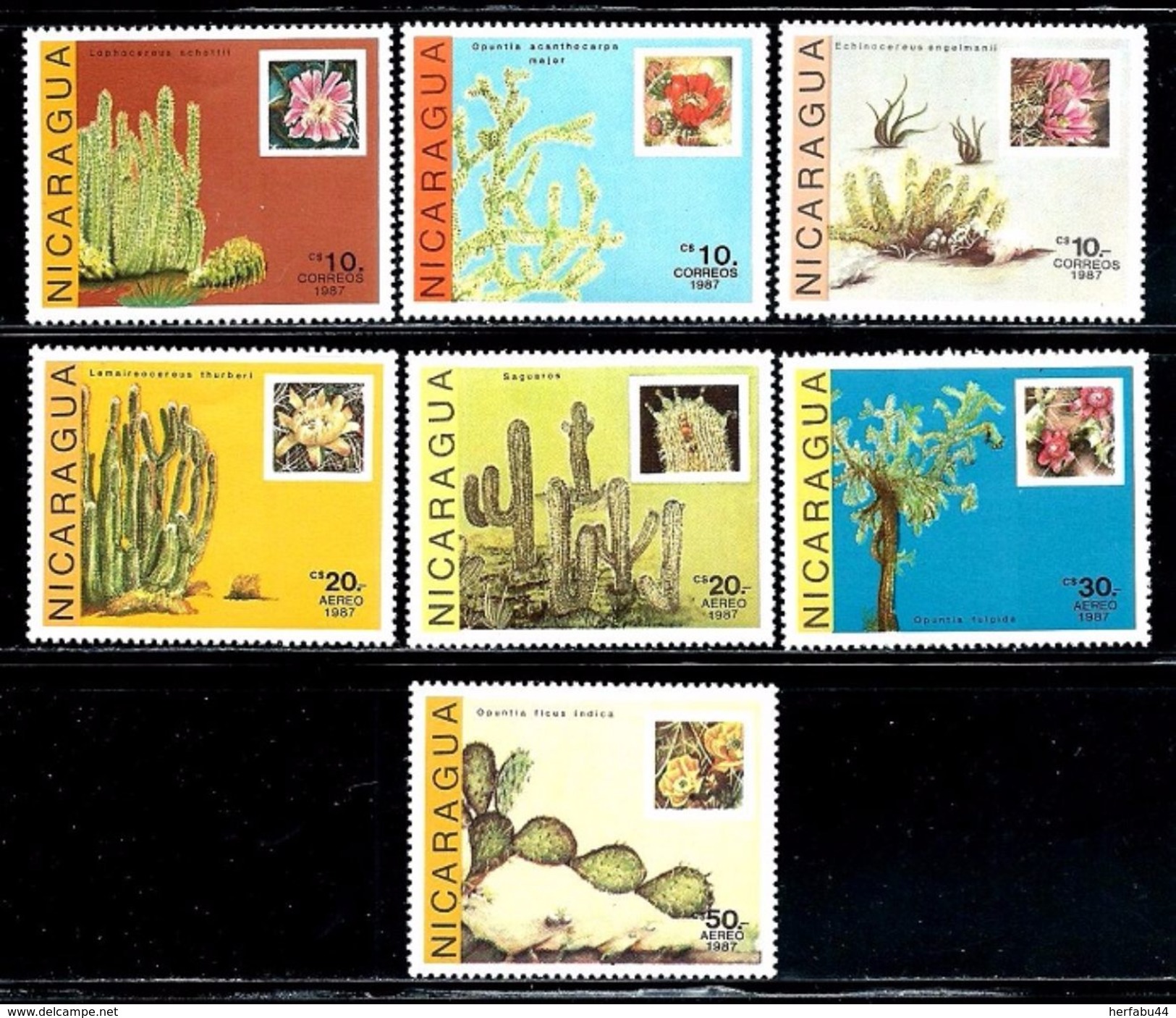 Nicaragua    Cactus     Set    SC# 1639-45 MNH** - Cactusses