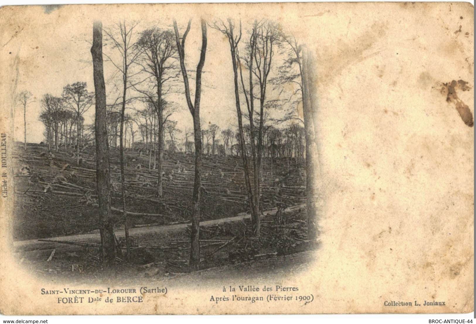 CPA N°3562 - SAINT VINCENT DU LOROUER - FORET DOMANIALE DE BERCE - LA VALLEE DES PIERRES APRES L' OURAGAN FEVRIER 1900 - Sonstige & Ohne Zuordnung