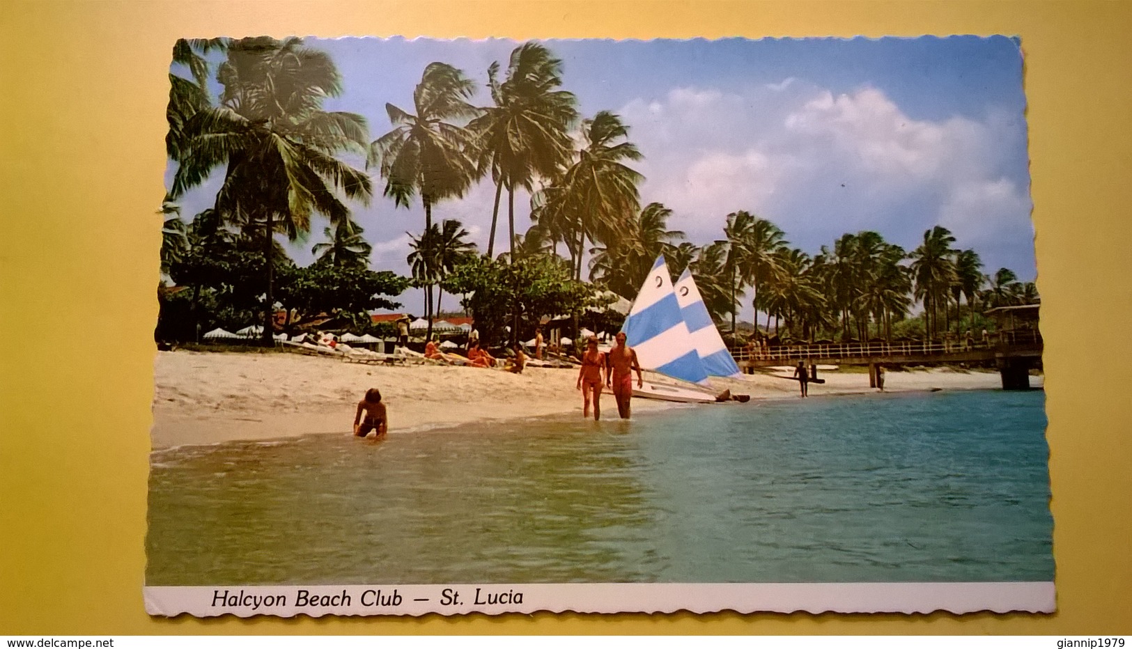 CARTOLINA VIAGGIATA ST. LUCIA RARA 1979 HALCYON BEACH AFFRANCATURA FAUNA UCCELLI - Altri & Non Classificati